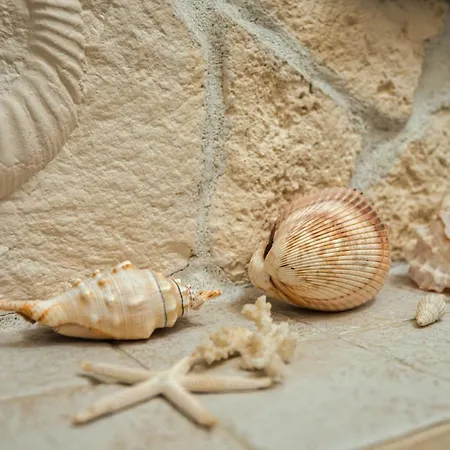 Apartament Wiktoria Wilanow 아파트