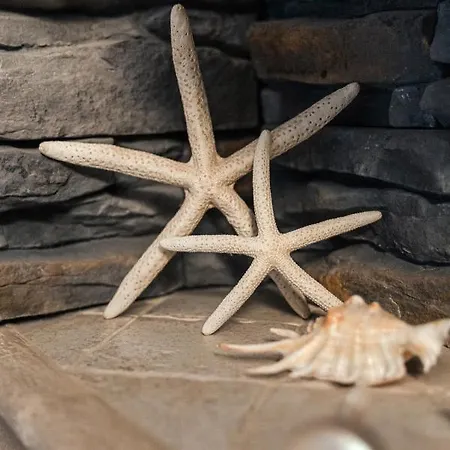 Apartament Wiktoria Wilanow 아파트 *