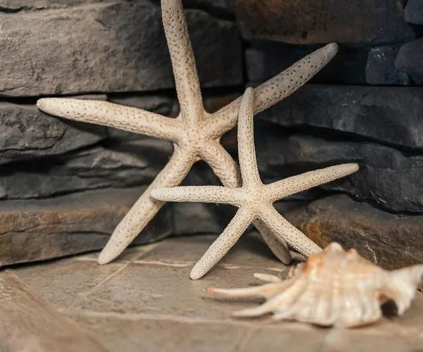 Apartament Wiktoria Wilanow Διαμέρισμα *